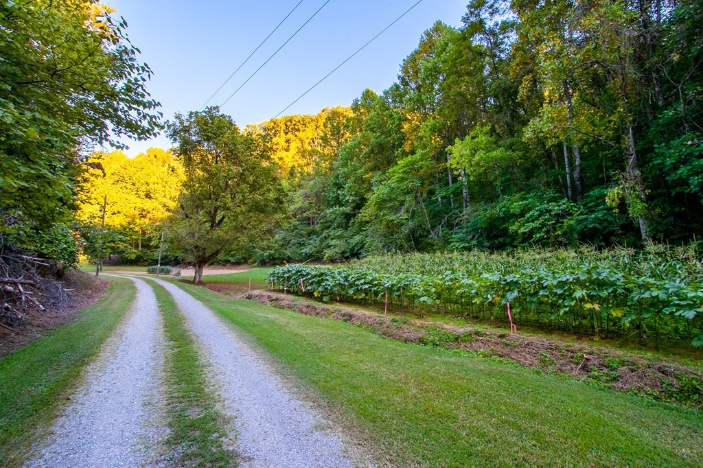 655 Lane Hollow Road Sevierville, TN 37876 - Photo 46 of 69 Gallery Image 46