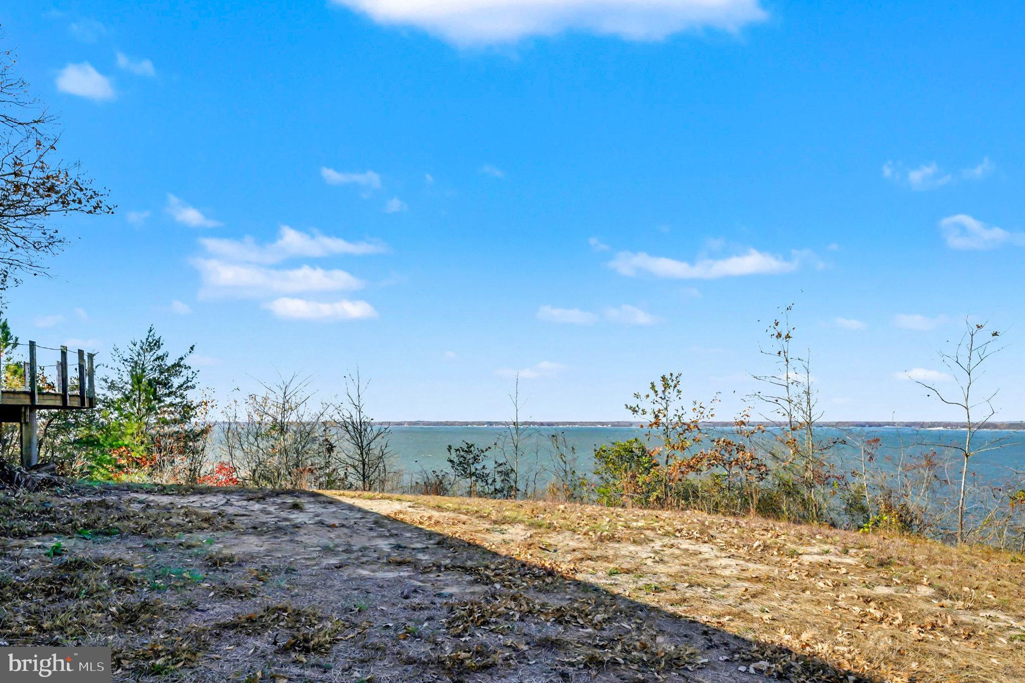 16031 Arthur Road King George, VA 22485 - Photo 5 of 26 a view of a dry yard with trees