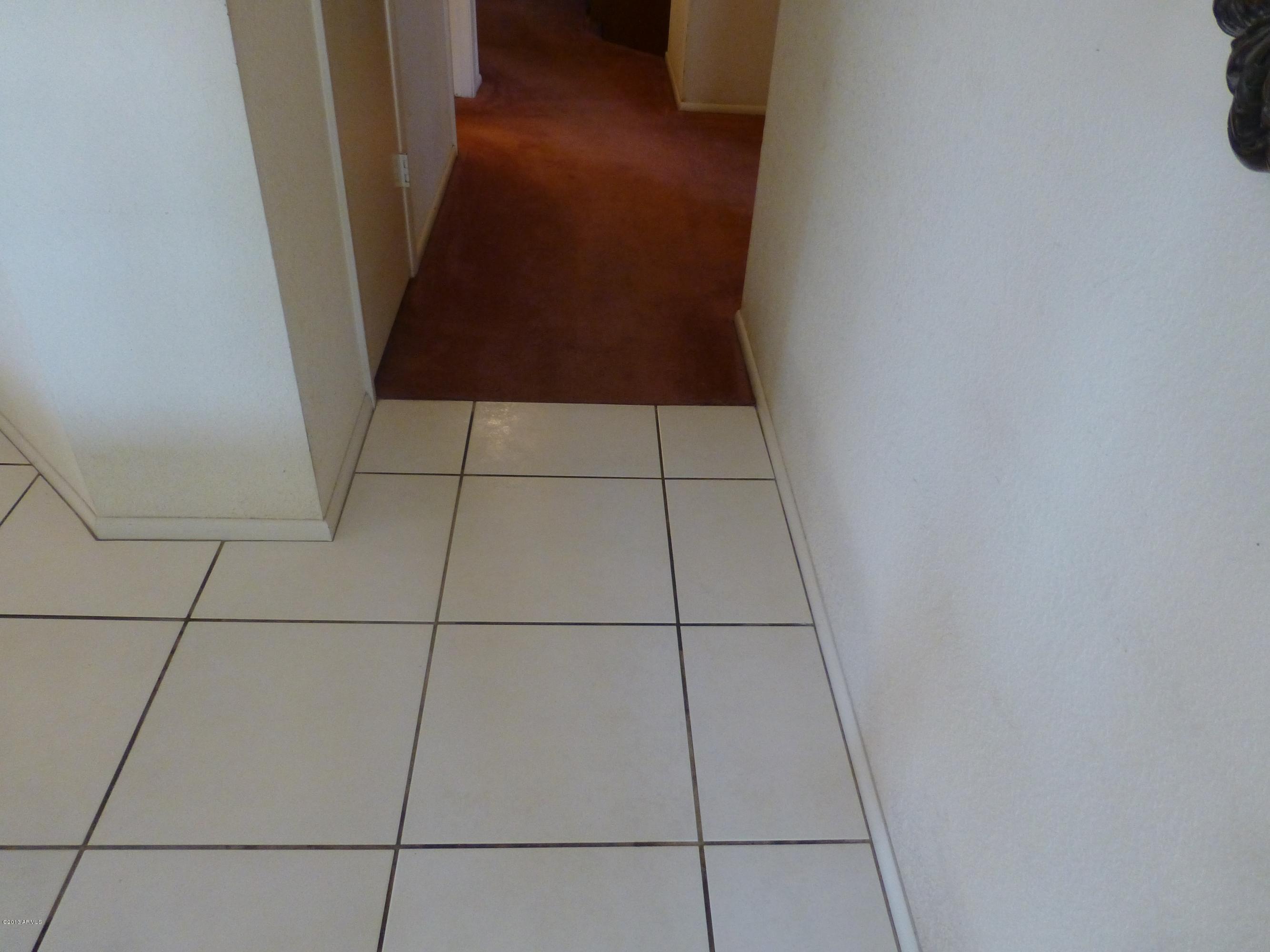 302 West Grandview Road Phoenix, AZ 85023 - Photo 19 of 24 P1000500