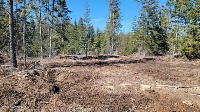 $179,500 | Lot 2 Pioneer Lane, Priest River, ID 83856