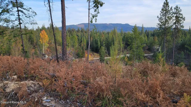 $179,500 | Lot 2 Pioneer Lane, Priest River, ID 83856