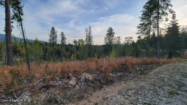 $179,500 | Lot 2 Pioneer Lane, Priest River, ID 83856