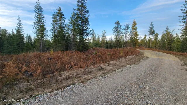 $179,500 | Lot 2 Pioneer Lane, Priest River, ID 83856