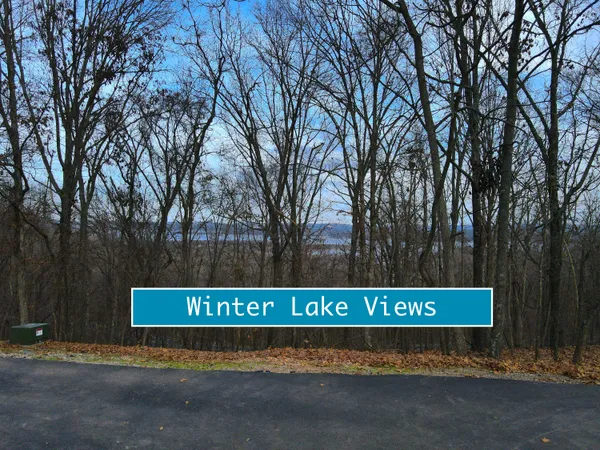 $39,700 | Tbd Lovers Lane, Reeds Spring, MO 65737