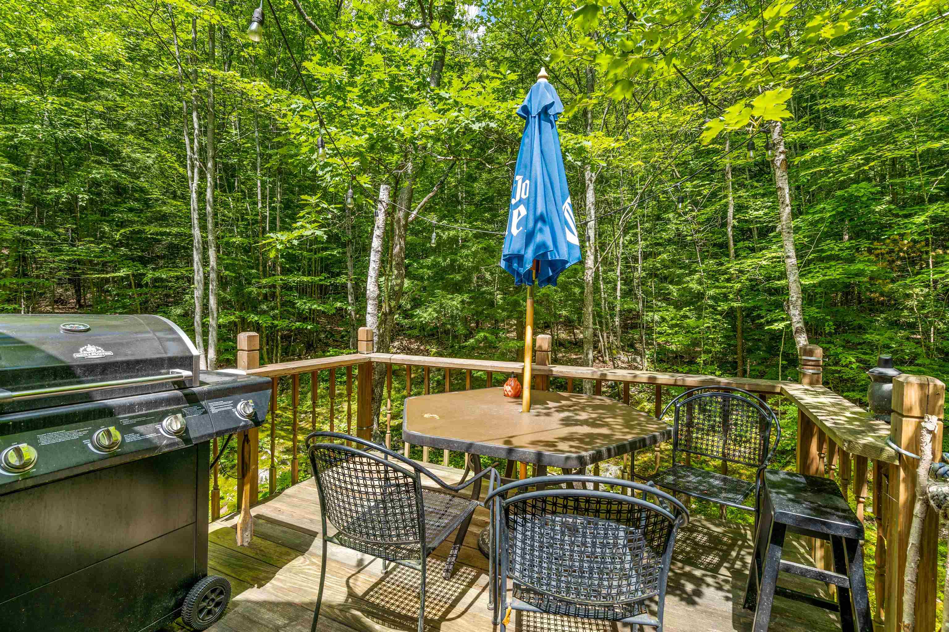 236 Chestnut Pond Road Epsom, NH 03234 - Photo 10 of 26