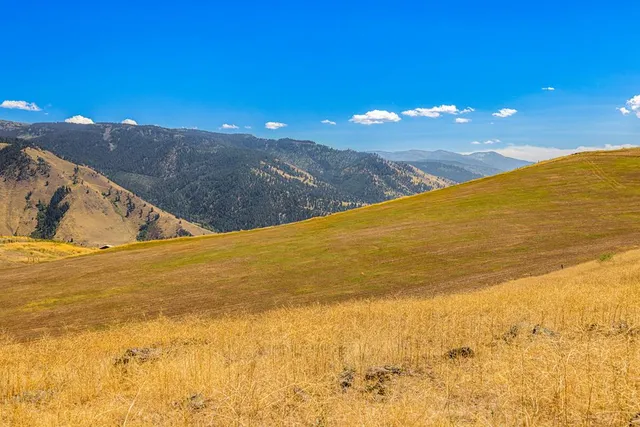 $540,000 | 453 Elk Haven Circle, Pollock, ID 83547