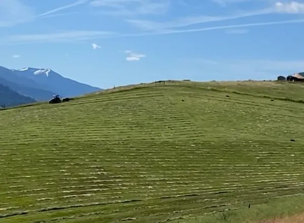 $540,000 | 453 Elk Haven Circle, Pollock, ID 83547