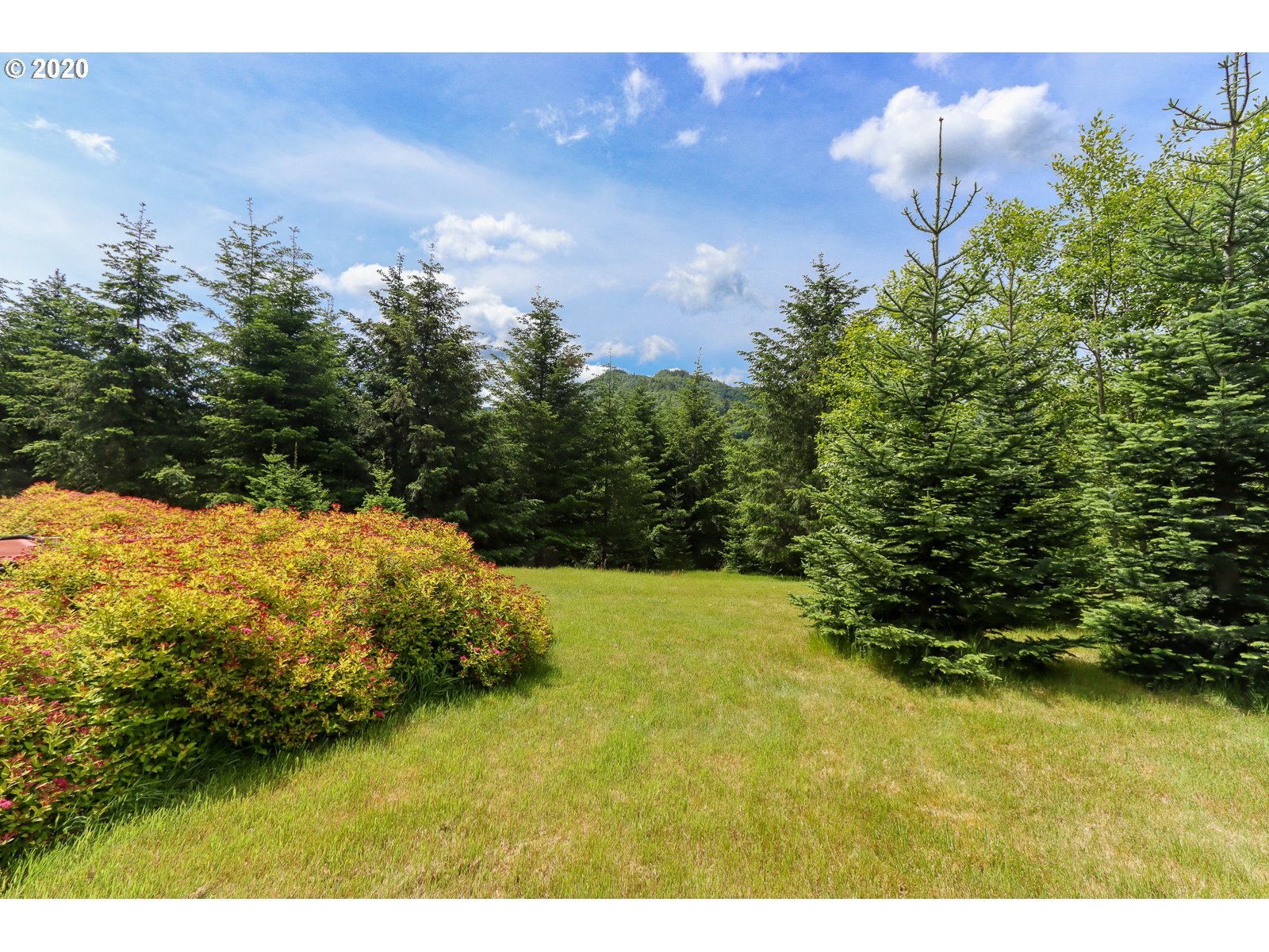 24710 Trask River Road Tillamook, OR 97141 - Photo 32 of 32 Gallery Image 32