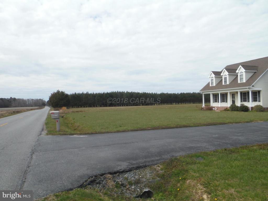 10630 Stewart Neck Road Princess Anne, MD 21853 - Photo 11 of 11 a view of a lake with a big yard and large trees