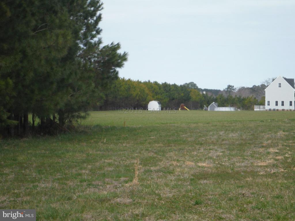 10630 Stewart Neck Road Princess Anne, MD 21853 - Photo 5 of 11 a view of a field with trees in the background