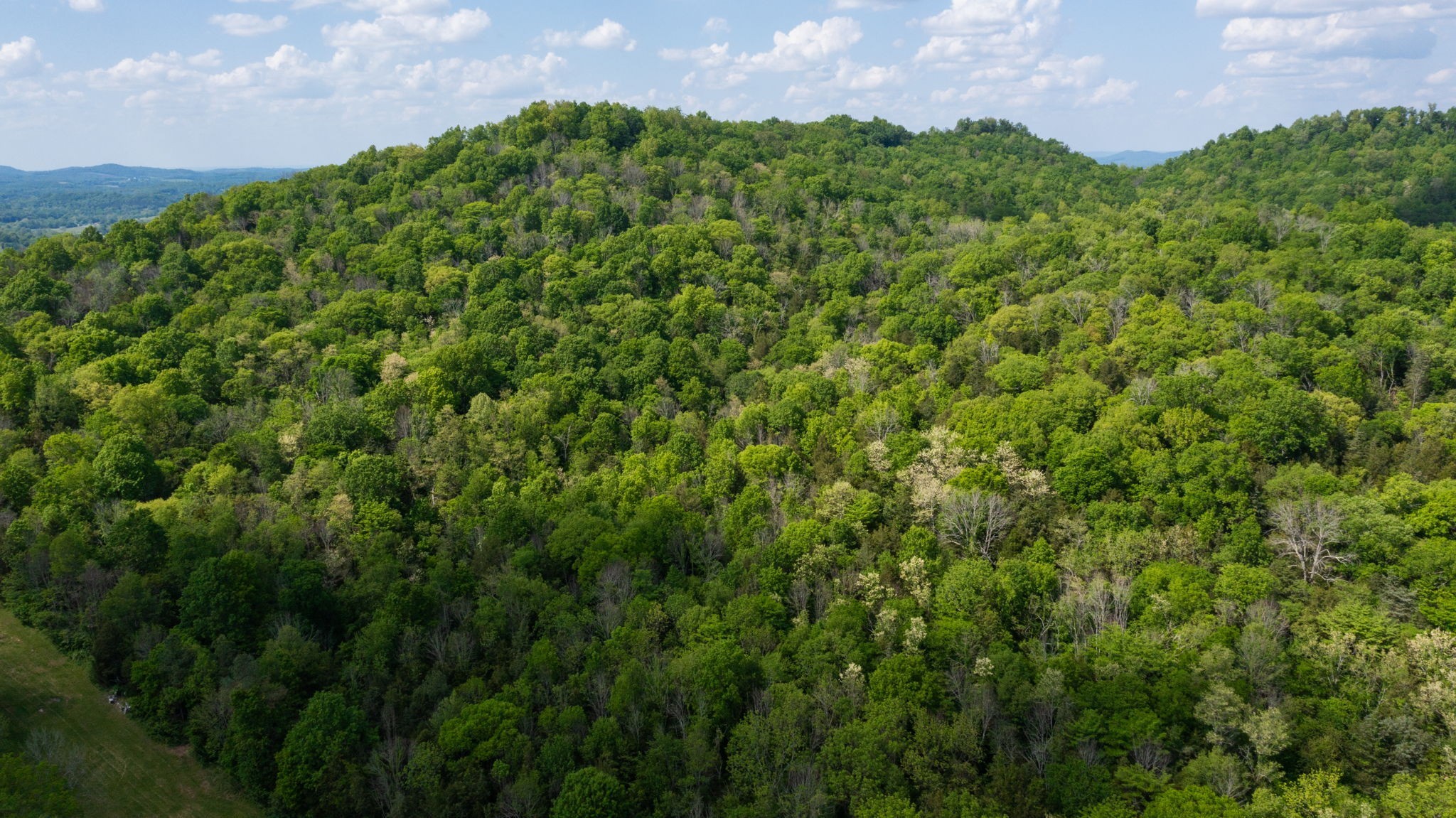 2517 Patton Hollow Road Watertown, TN 37184 - Photo 29 of 29
