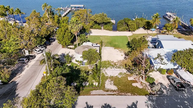 a view of a garden with plants