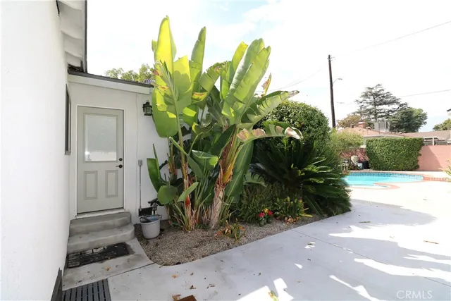 a plant that is sitting in front of a house