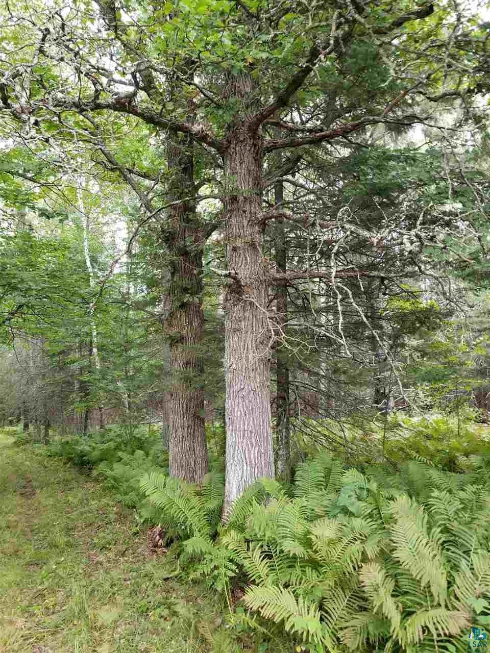 8794 Poplar Road Cotton, MN 55724 - Photo 17 of 22 Gallery Image 17