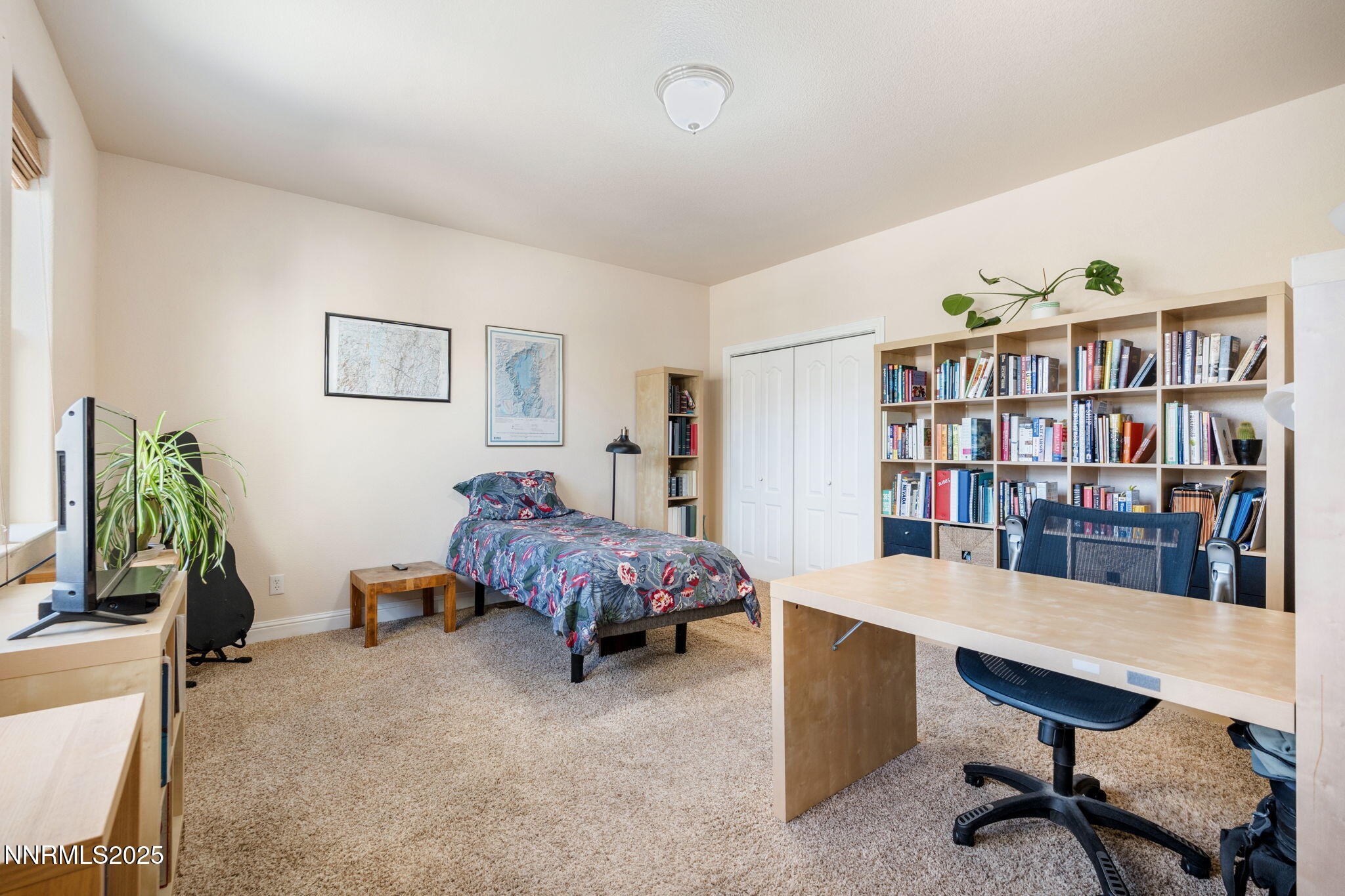 306 San Roma Drive Dayton, NV 89403 - Photo 31 of 46