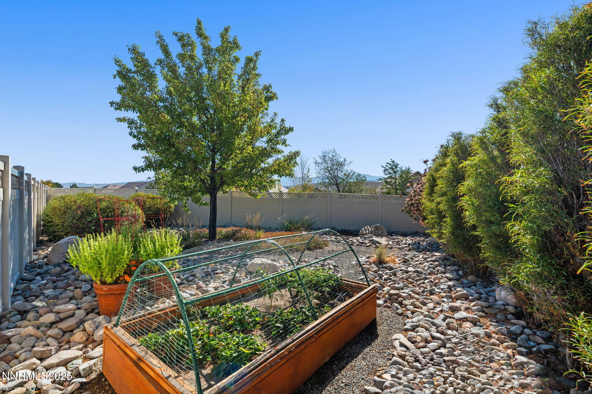 306 San Roma Drive Dayton, NV 89403 - Photo 45 of 46 a view of a garden with plants