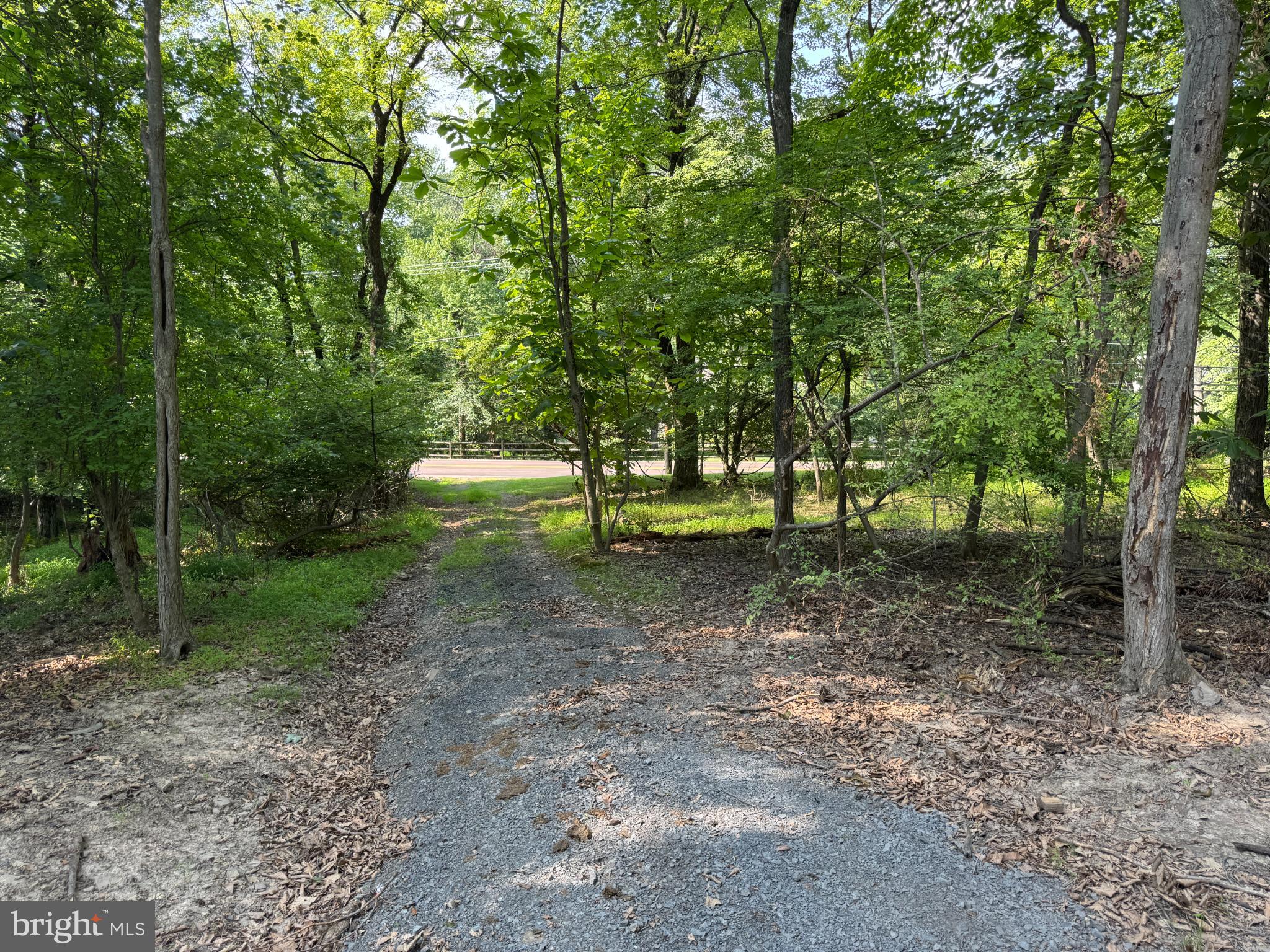 a view of outdoor space with lots of trees