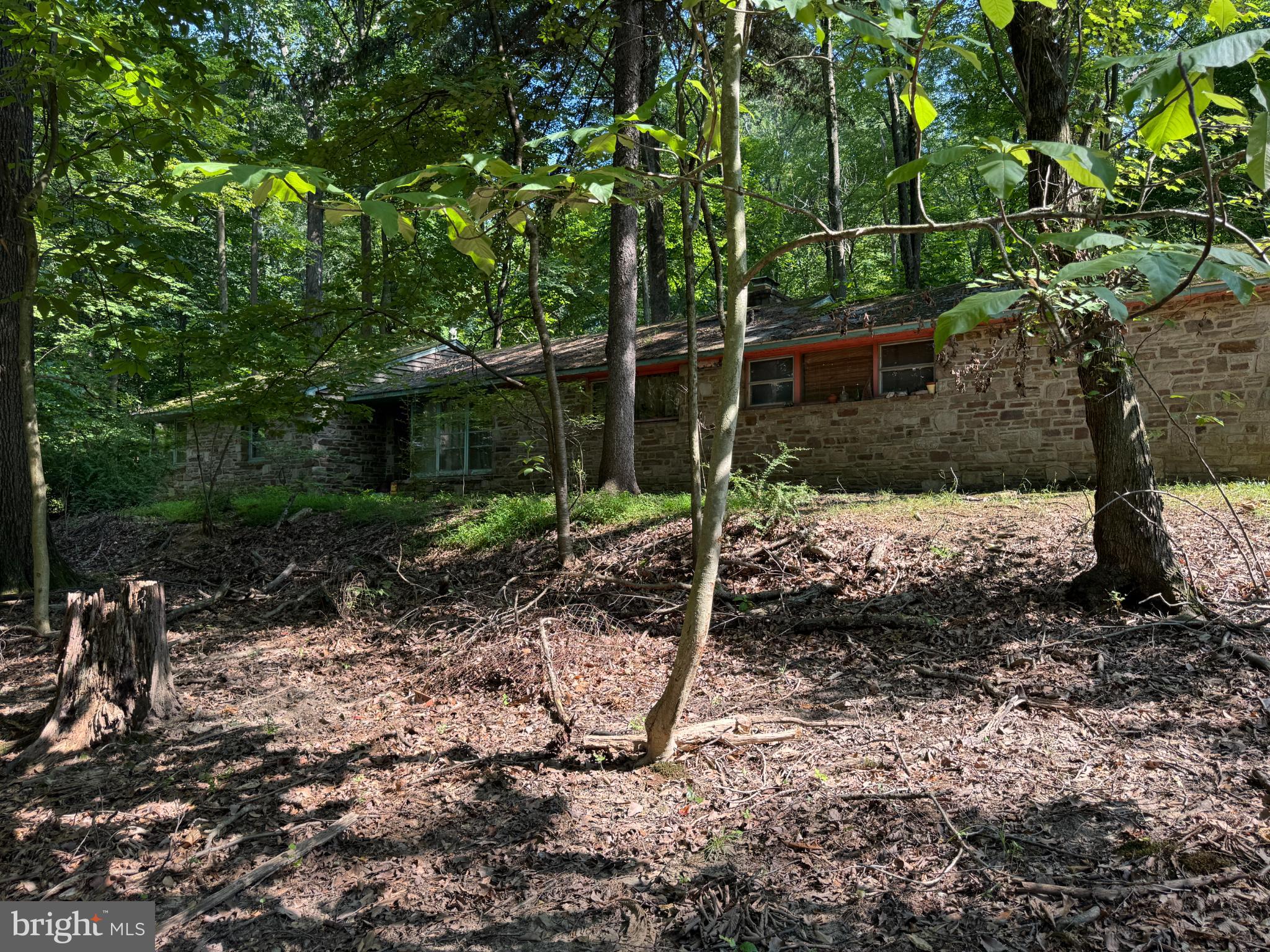 416 Militia Hill Road Fort Washington, PA 19034 - Photo 15 of 15 a backyard of a house with lots of green space