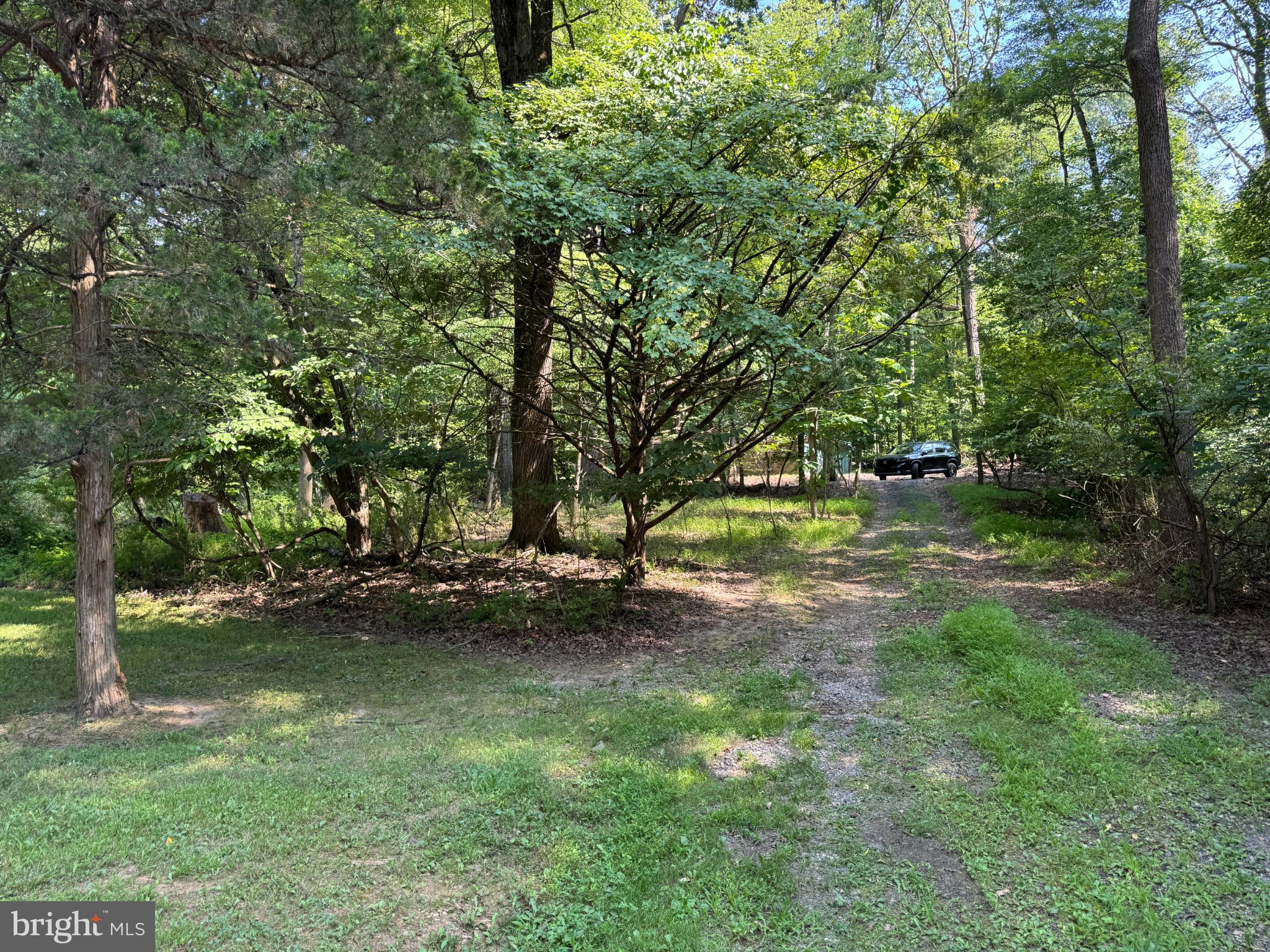 416 Militia Hill Road Fort Washington, PA 19034 - Photo 5 of 15 a view of a tree in the middle of a yard