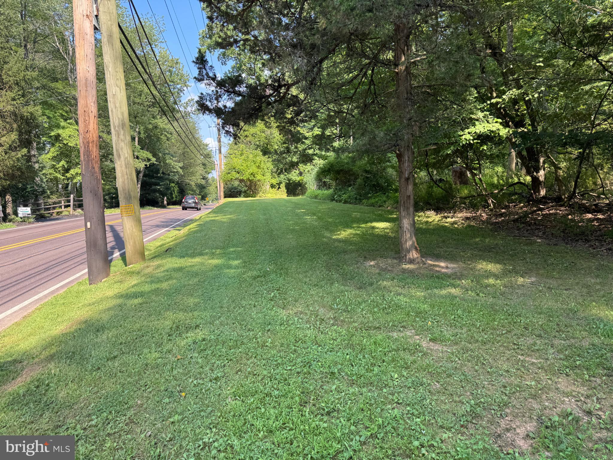 416 Militia Hill Road Fort Washington, PA 19034 - Photo 6 of 15 a view of a yard with a tree
