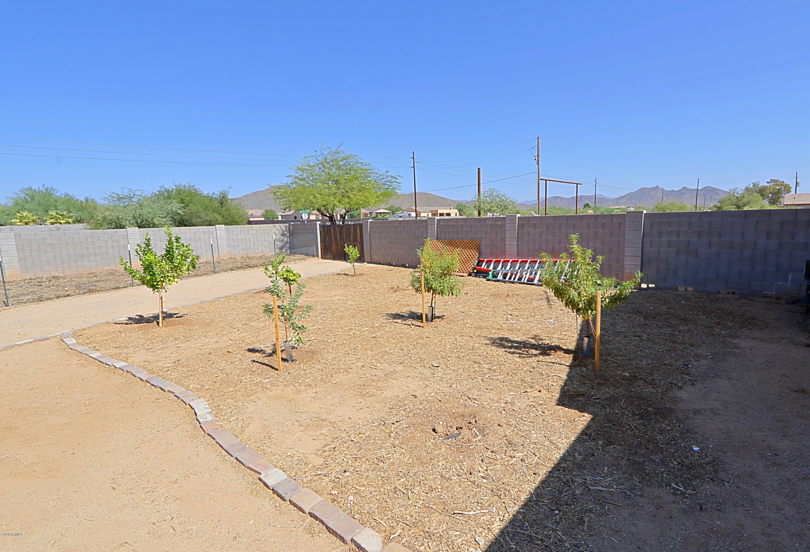 923 East Joy Ranch Road Phoenix, AZ 85086 - Photo 54 of 70 Orchard