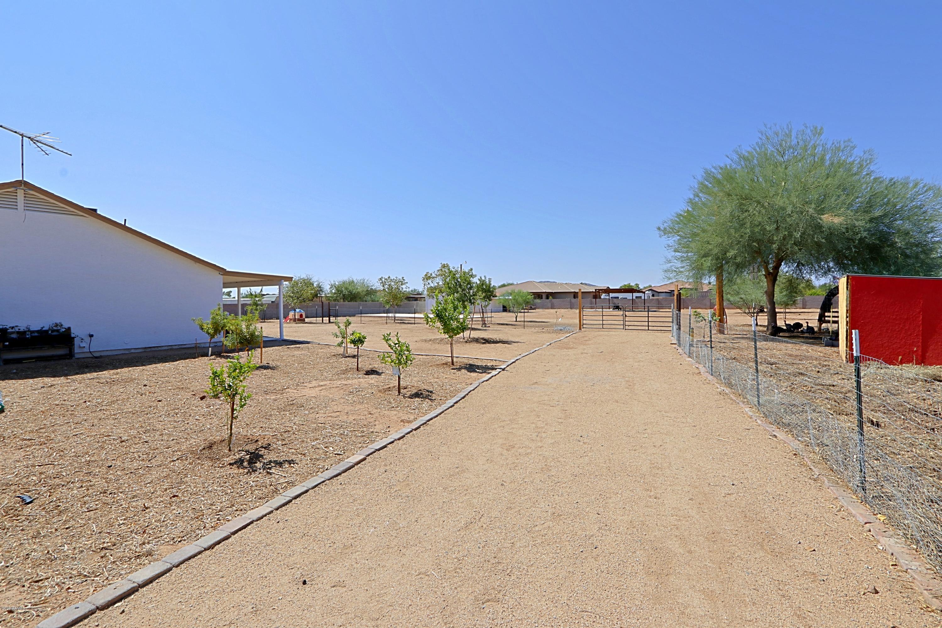 923 East Joy Ranch Road Phoenix, AZ 85086 - Photo 63 of 70 Backyard 5