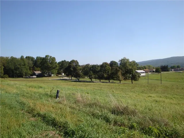 a view of field with tall trees