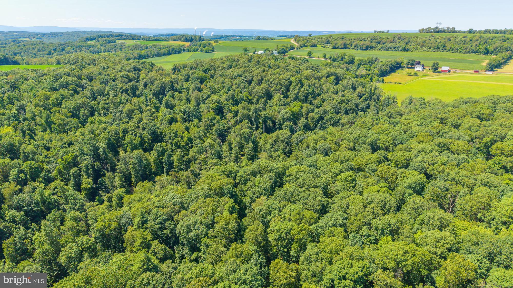 Hartman Road Danville, PA 17821 - Photo 10 of 11 Lush green forest meets open fields.