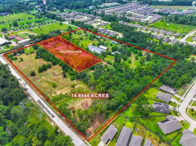 a view of a yard with plants
