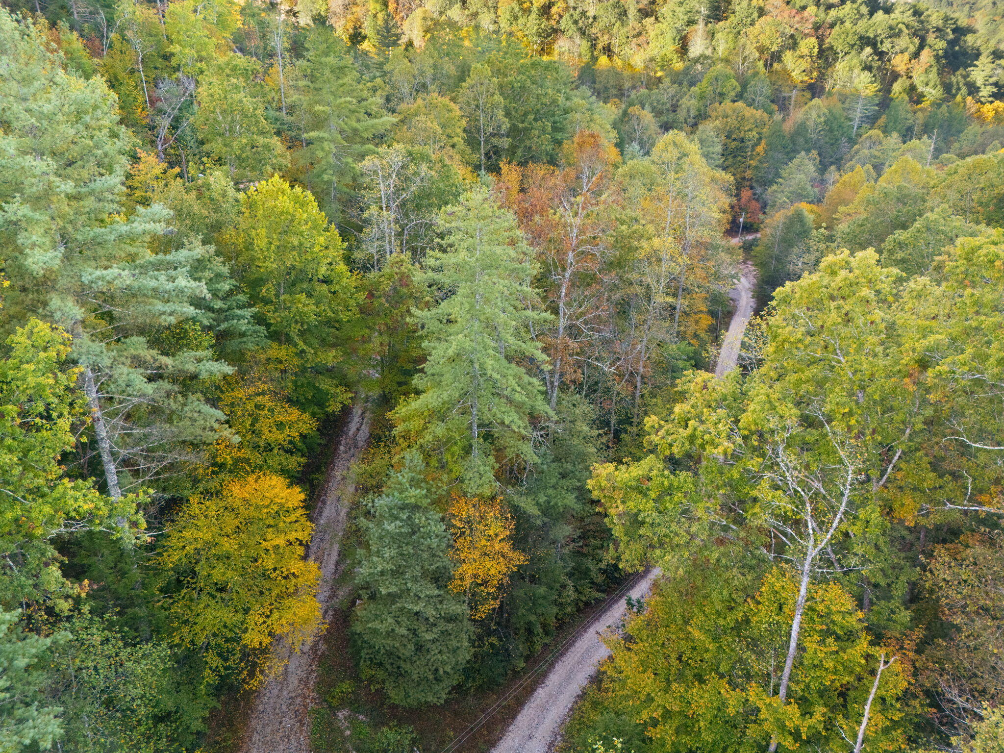 645 Right Fork Fixer Road, Unit LOT 103 Zoe, KY 41397 - Photo 34 of 38 37-web-or-mls-DJI_20251014084742_0028_D