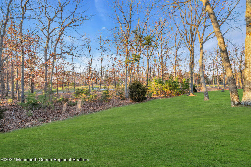 48 Winged Foot Road Jackson, NJ 08527 - Photo 47 of 69 a view of yard with tree