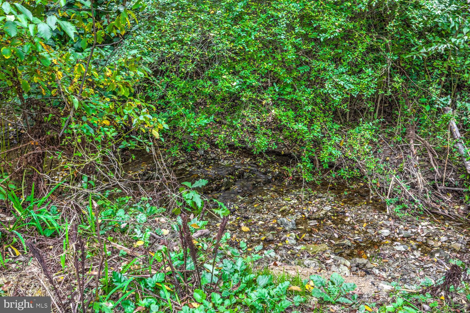 2905 Spring Valley Road Lancaster, PA 17601 - Photo 13 of 58 small stream bordering property