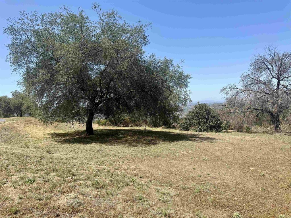 0 Vía Ladera Fallbrook, CA 92028 - Photo 9 of 37
