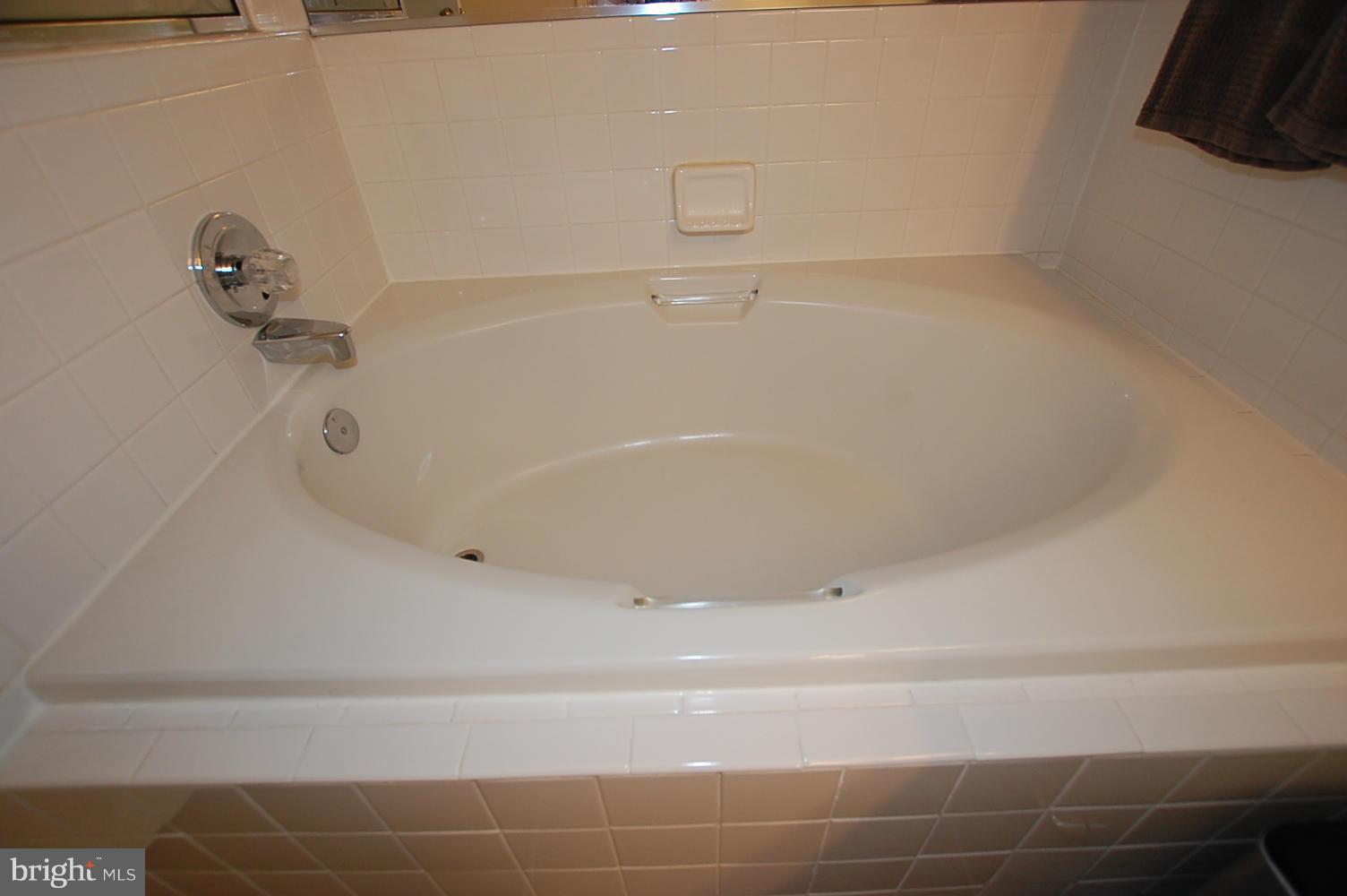 408 Ridgepoint Place, Unit 36 Gaithersburg, MD 20878 - Photo 8 of 29 Bath (Master)
