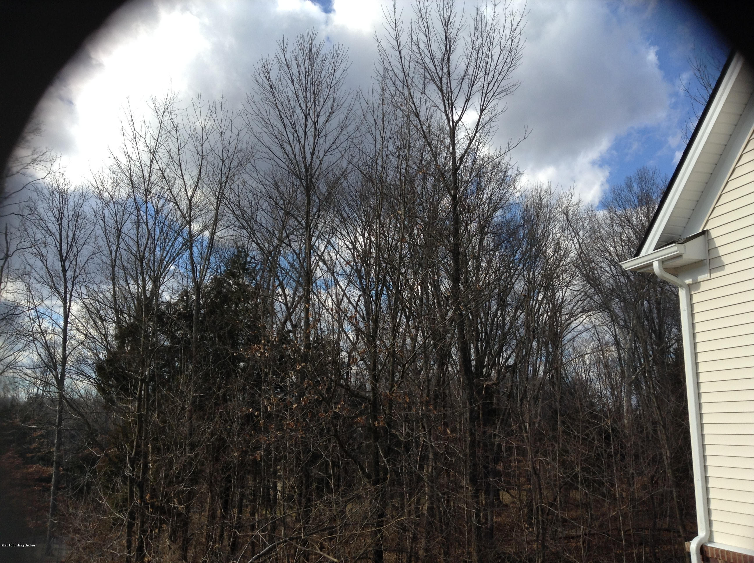 2908 Salt Lick Road Crestwood, KY 40014 - Photo 11 of 11 Wooded Lot