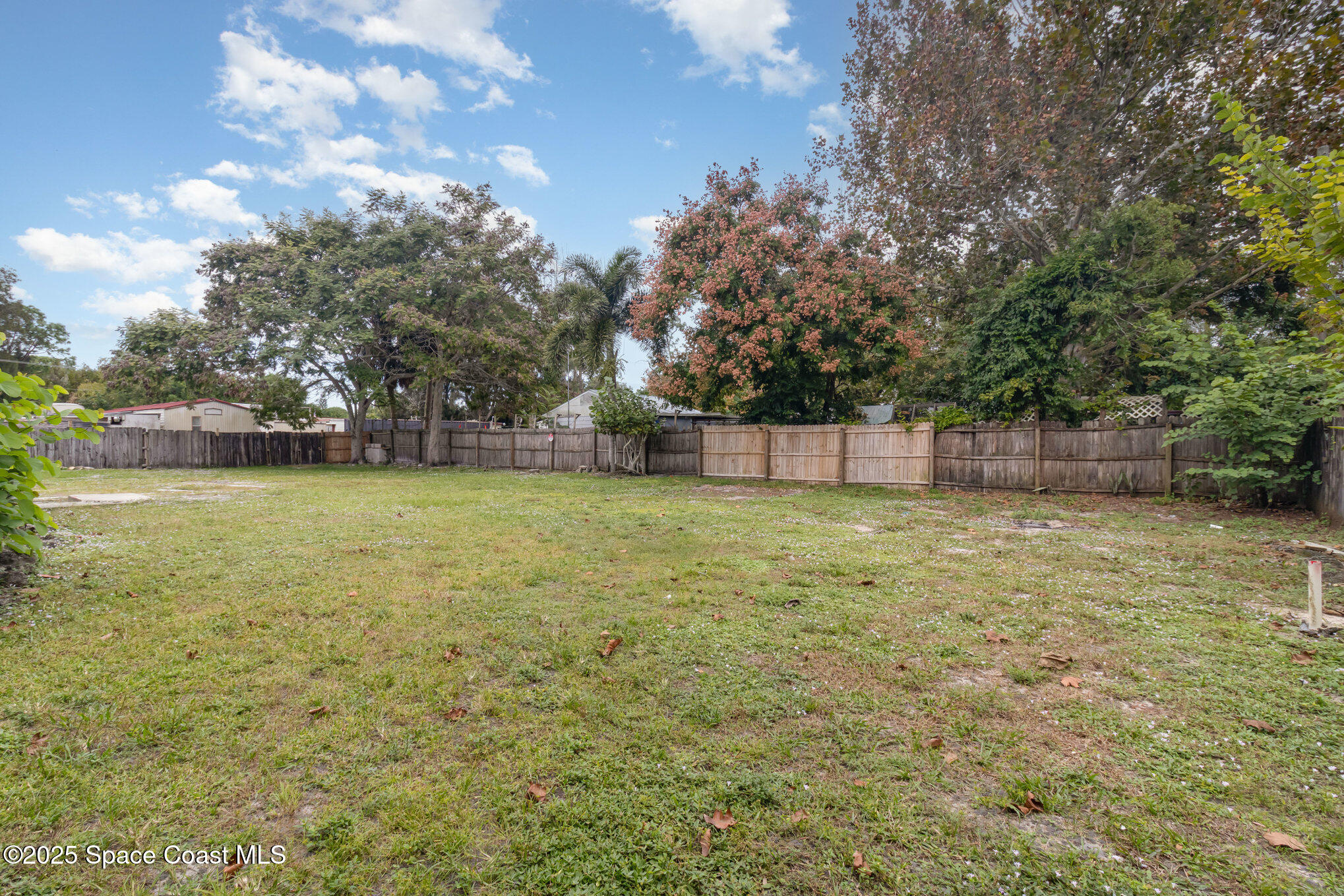 344 Robyn Street Cocoa, FL 32927 - Photo 17 of 21 a view of a yard with a trees