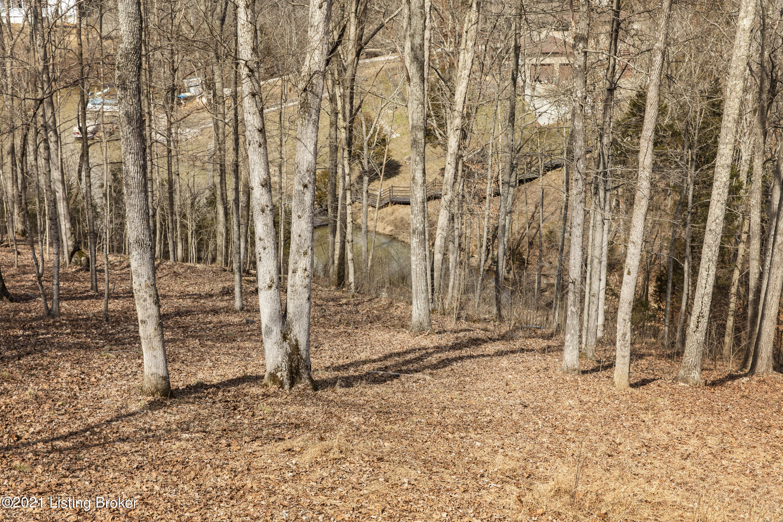 355 Sunny View Road Brandenburg, KY 40108 - Photo 59 of 76 Lake views from lot