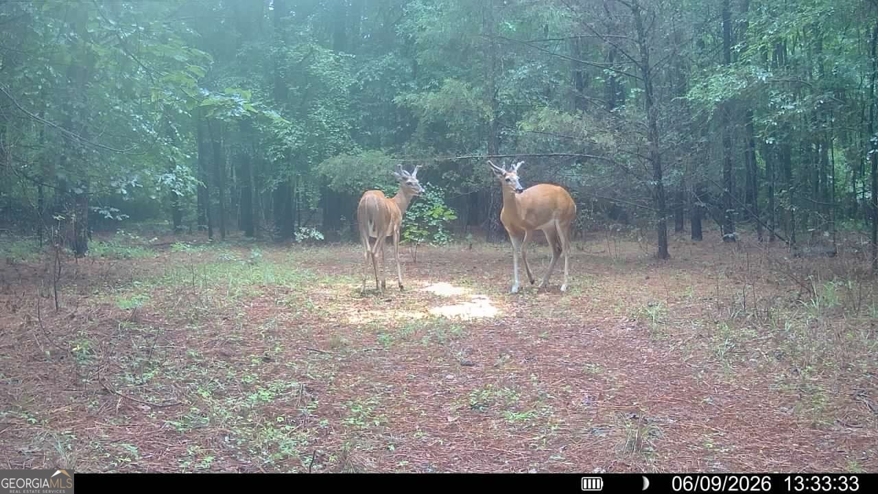 1 Bethesda Church Road Lexington, GA 30648 - Photo 45 of 78