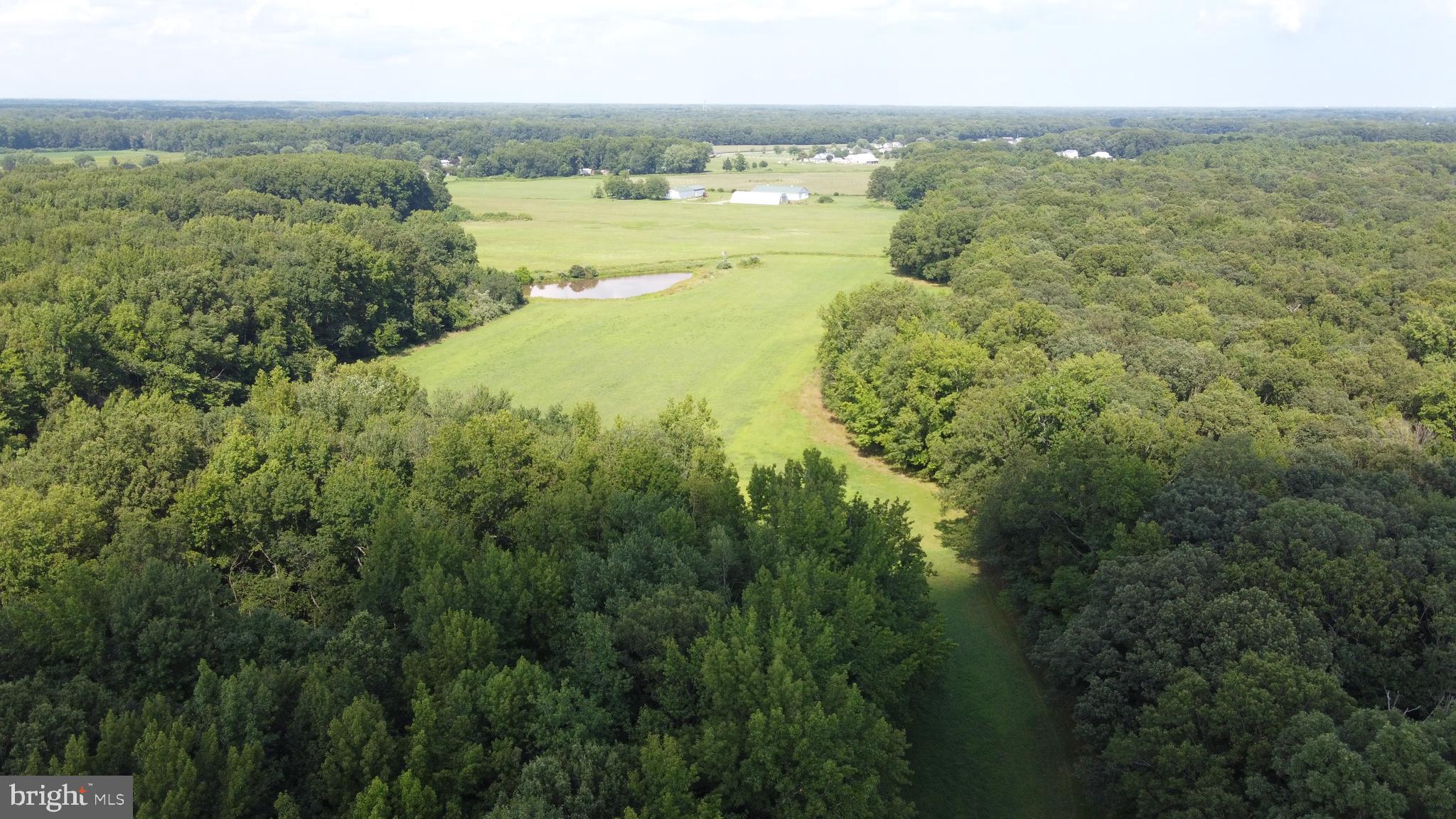 4938 Halltown Road Hartly, DE 19953 - Photo 3 of 32 45.54 wooded acres of trails, wildlife & privacy!!