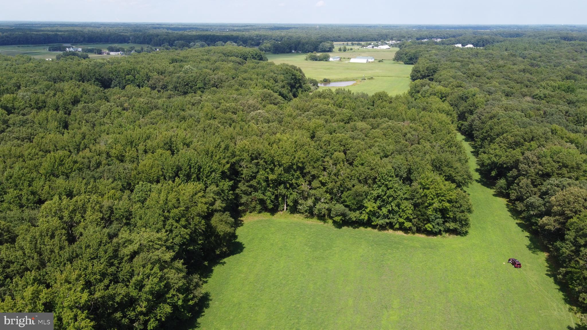 4938 Halltown Road Hartly, DE 19953 - Photo 4 of 32 51 acres of croplands or horse/cattle pastures