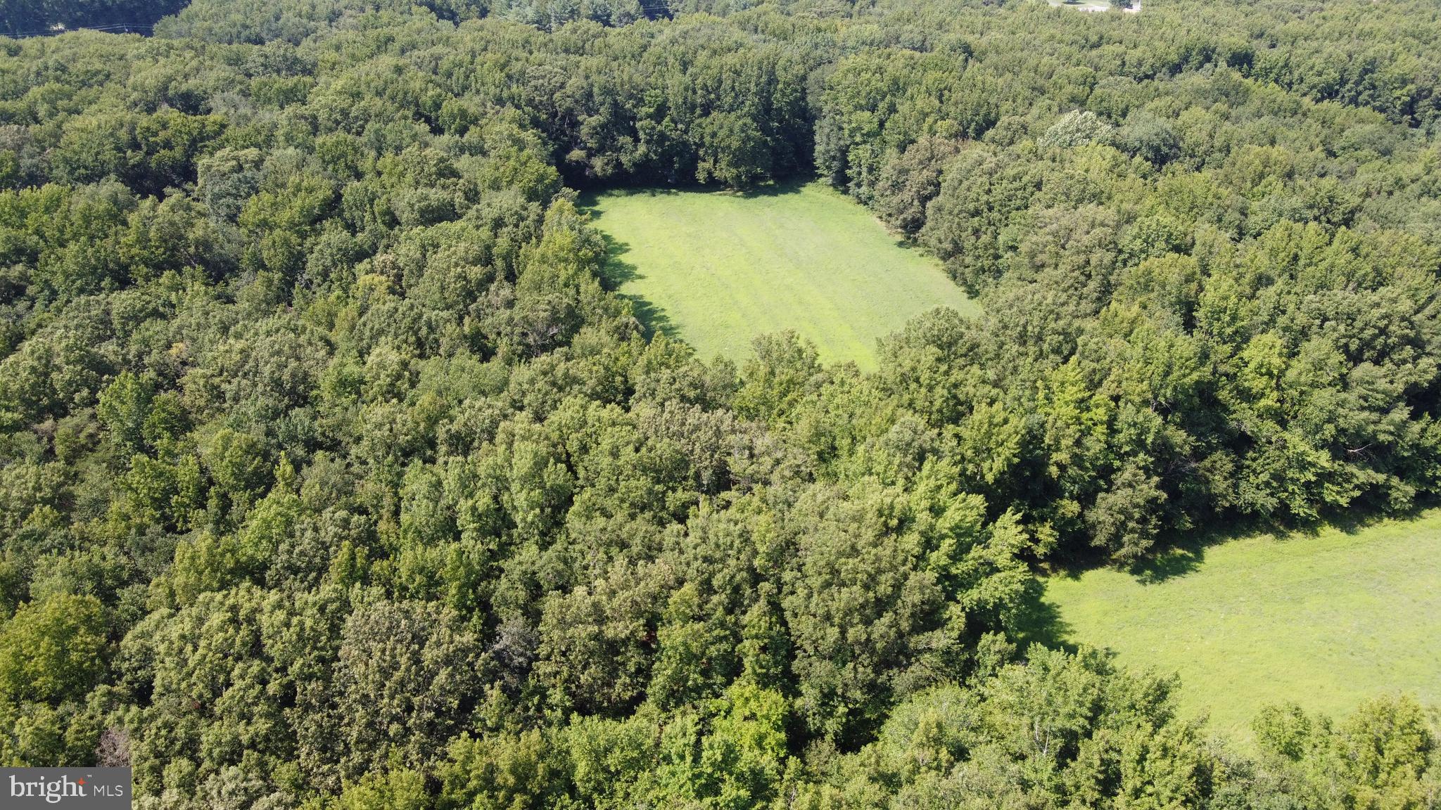 4938 Halltown Road Hartly, DE 19953 - Photo 5 of 32 20.16 acres of cleared prime, unique farmland