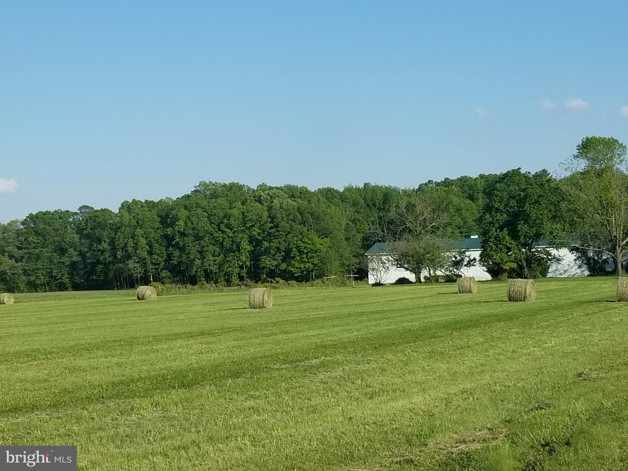 4938 Halltown Road Hartly, DE 19953 - Photo 9 of 32 fields great for 2-4 hay cuttings per season