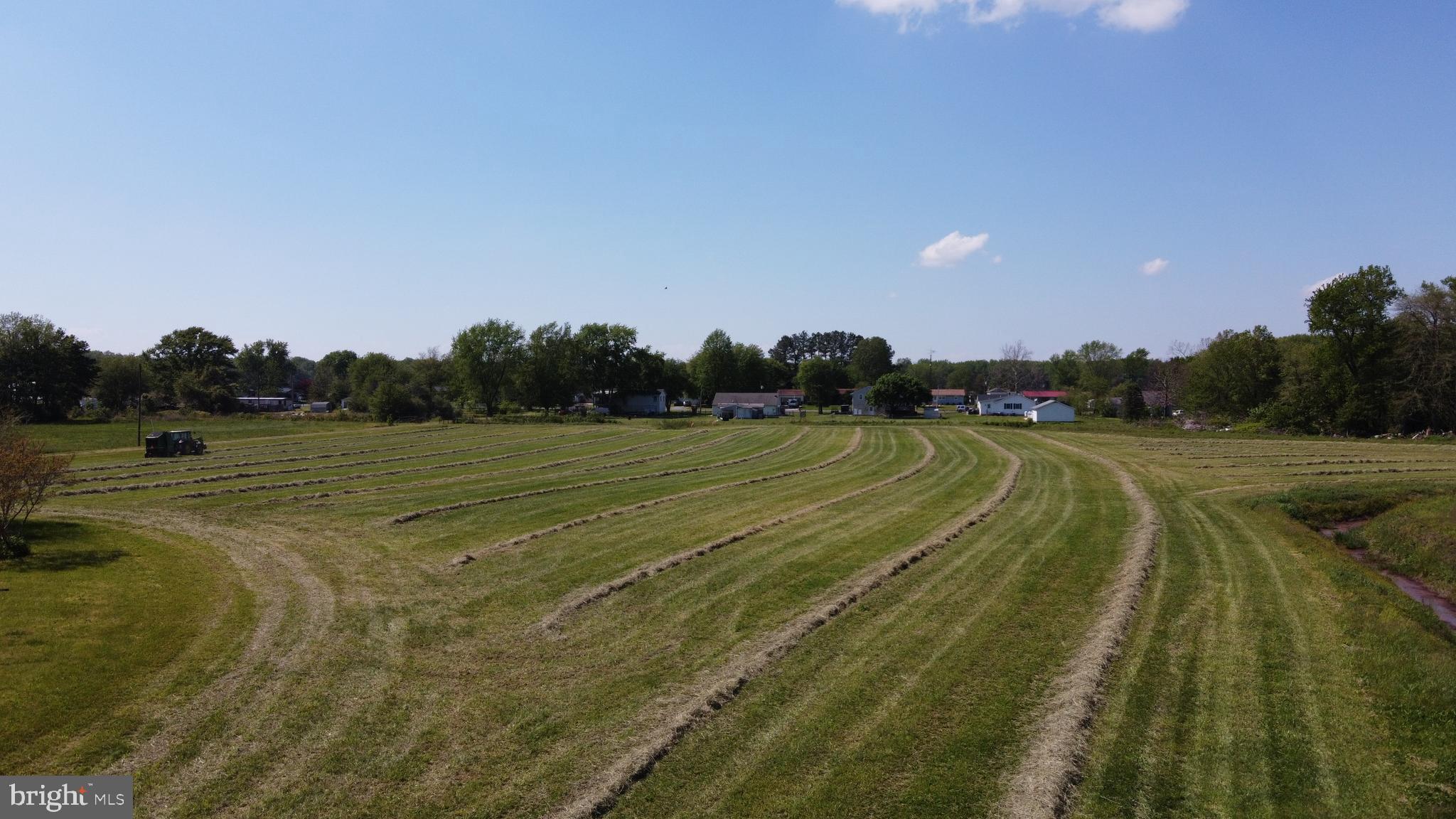 4938 Halltown Road Hartly, DE 19953 - Photo 10 of 32 currently all fields seeded & cut for hay