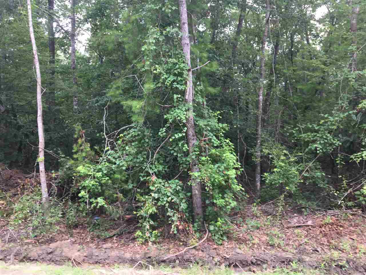 Xxx Ranch Road Tallahassee, FL 32311 - Photo 1 of 9 Gallery Image 1
