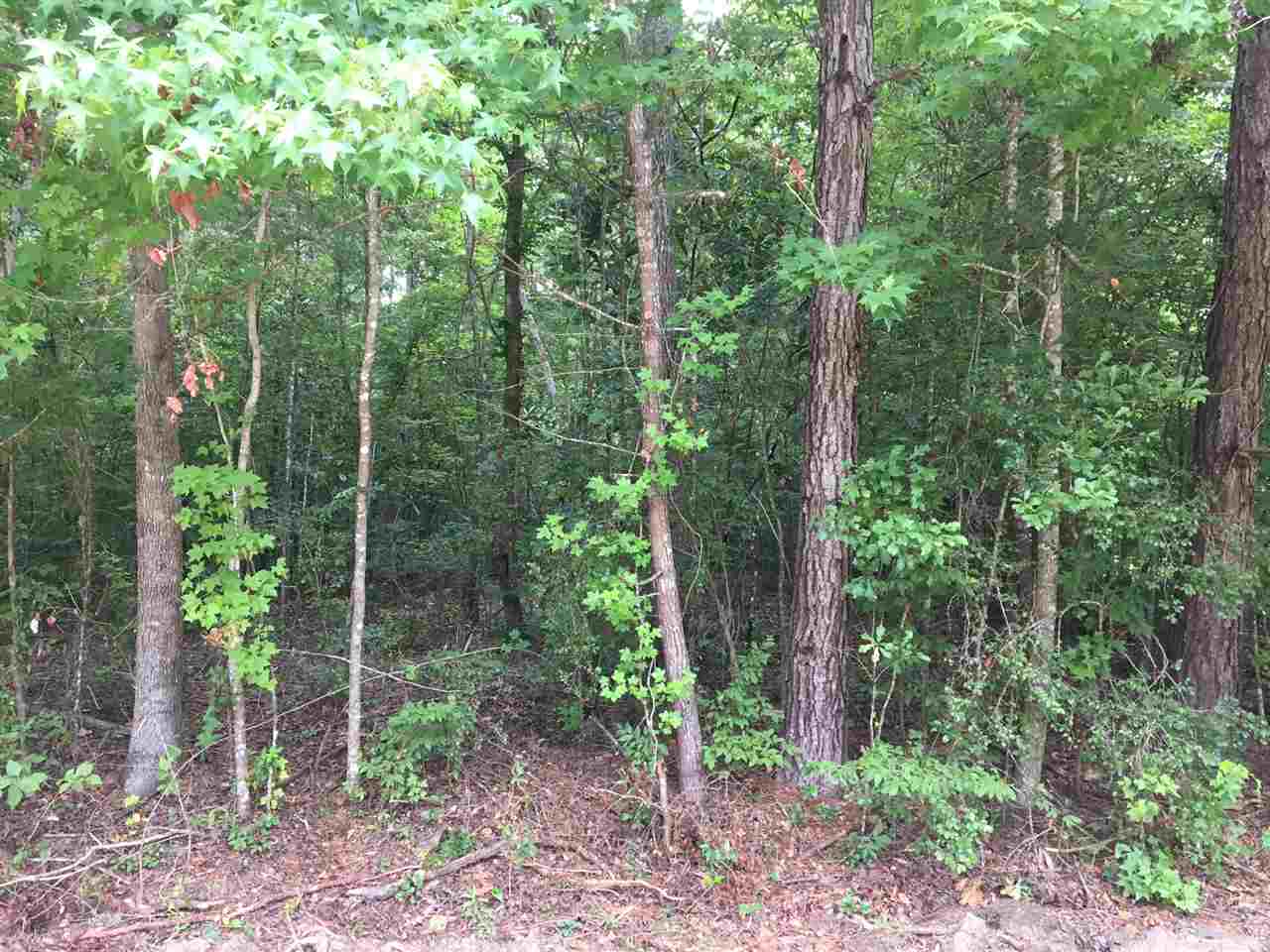 Xxx Ranch Road Tallahassee, FL 32311 - Photo 4 of 9 Gallery Image 4