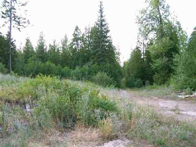 0 Sky Ranch Road Newport, WA 99156 - Photo 1 of 5 Gallery Image 1