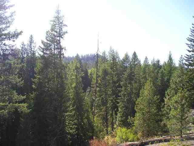 0 Sky Ranch Road Newport, WA 99156 - Photo 4 of 5 Gallery Image 4