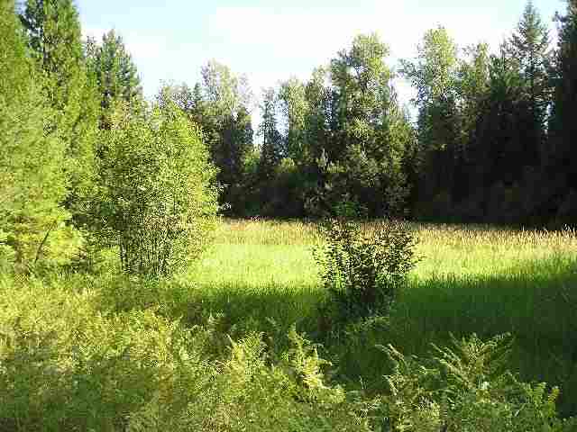 0 Sky Ranch Road Newport, WA 99156 - Photo 5 of 5 Gallery Image 5