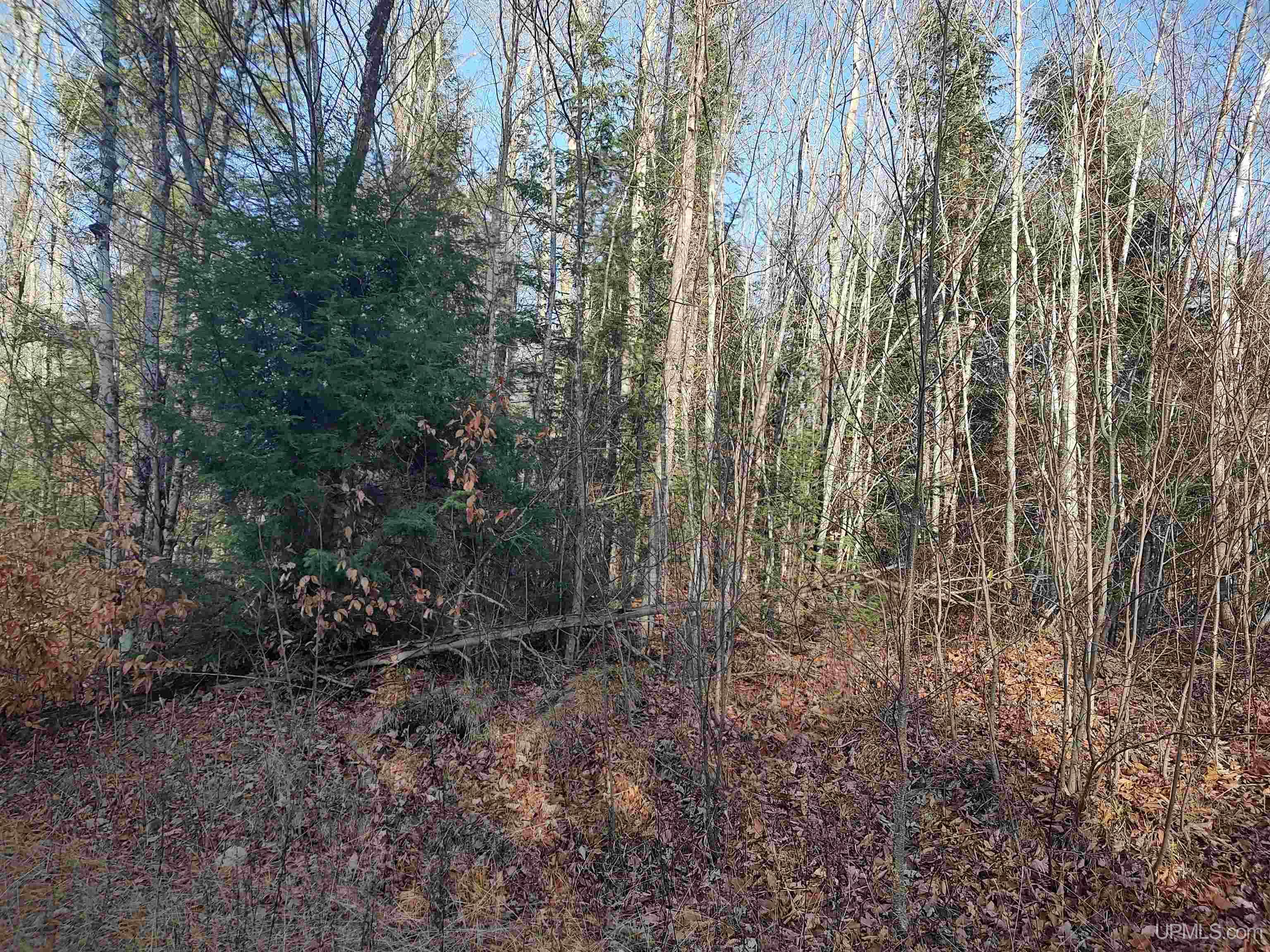 Tbd Billie Helmer Road Deerton, MI 49822 - Photo 6 of 20