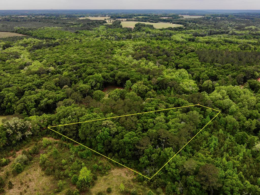 2-ac Corbin Road Newton, AL 36352 - Photo 9 of 15